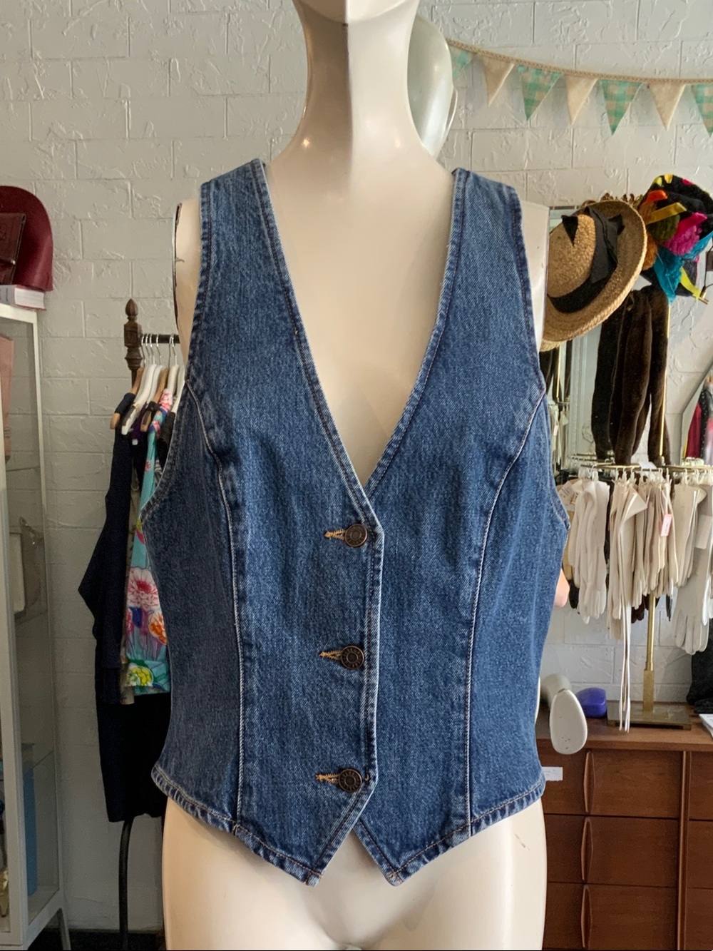 Agolde Indigo Denim Button Vest